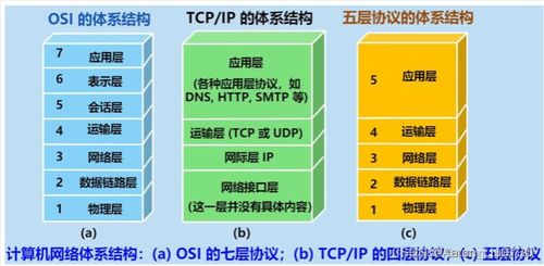 計算機網絡與計算機系統服務面試常問知識點解析